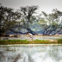 Bharatpur