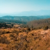 Ranikhet